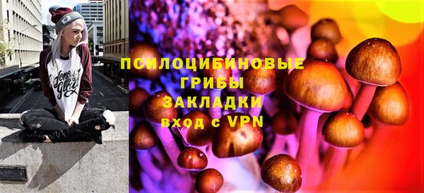а пвп мука Армянск