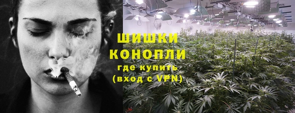 дживик Арсеньев