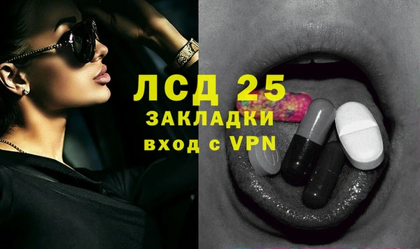 ПСИЛОЦИБИНОВЫЕ ГРИБЫ Лихославль