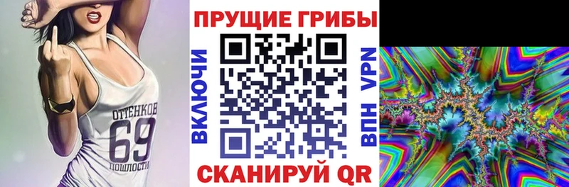 Галлюциногенные грибы Psilocybine cubensis hydra зеркало Гвардейск